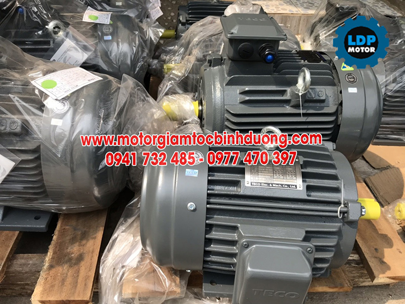 motor-teco