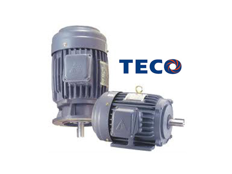 Động cơ điện Teco
